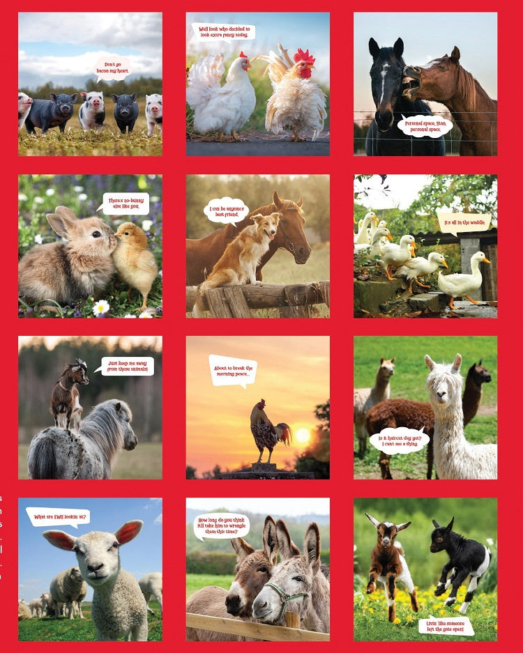 Funny Farm Animals Calendar 2026