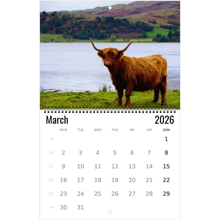 Highland Cow Wall Calendar 2026 🐮📅